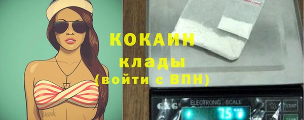 Альфа ПВП Аркадак