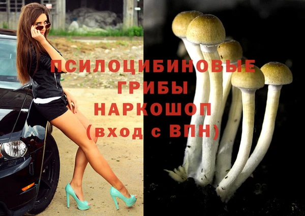 СК Арсеньев